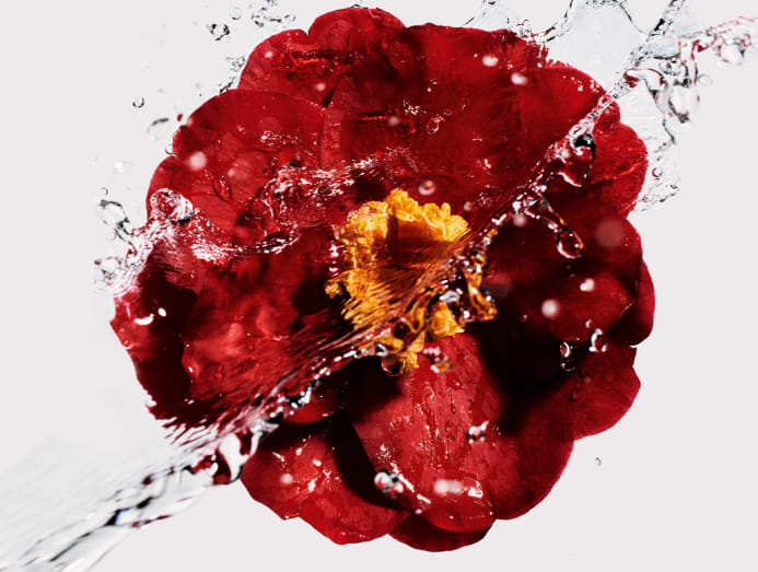 Souvenir Spree & Magazine Madness! CHANEL N°1 Camellia Rouge