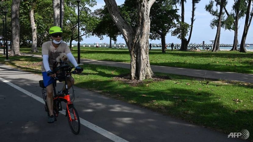 No more brakeless bicycles on public paths and roads in future as Government accepts advisory panel's review No more brakeless bicycles on public paths and roads in future as Government accepts advisory panel's review