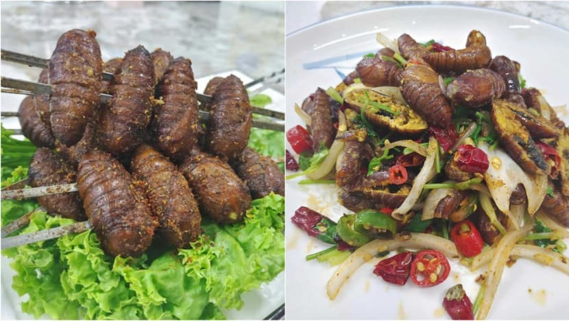 Grilled, fried or stewed: Eateries in Singapore serving up silkworms without approval Grilled, fried or stewed: Eateries in Singapore serving up silkworms without approval