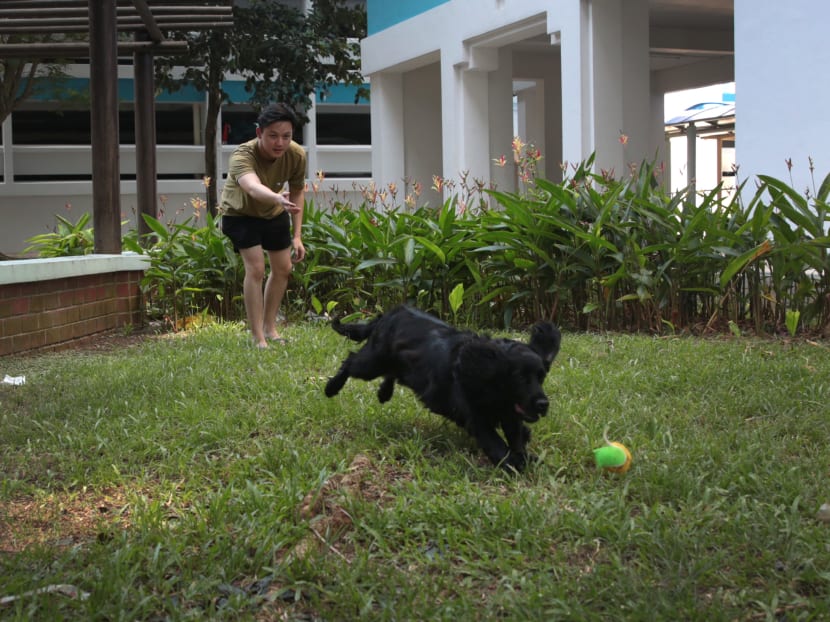 Former SPF NSF Thaksin Toh and his dog Moss, a retired K-9 dog rehomed to a HDB flat. Photo: Jason Quah