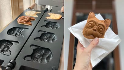New Little India Dog Cafe Has Pooch Cuddling & French Bulldog-Shaped Taiyaki