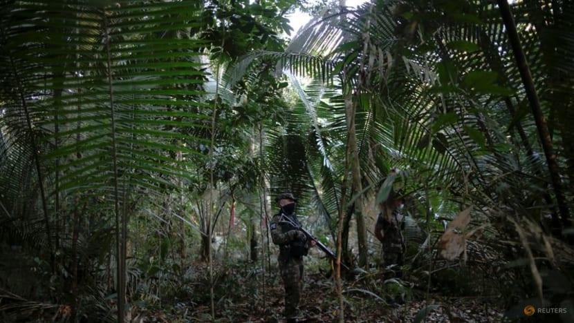 UN tonic for forest carbon market omits cure for corporate trading pains UN tonic for forest carbon market omits cure for corporate trading pains