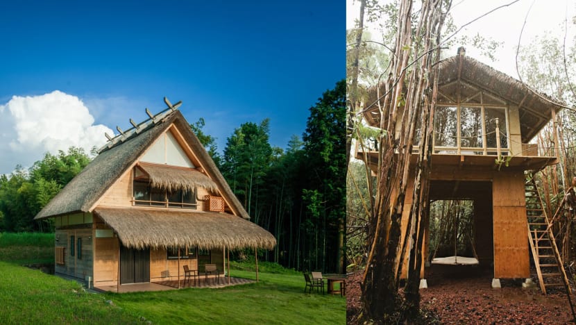Stunning Treehouses And Cottages Around The World To Book Right Now