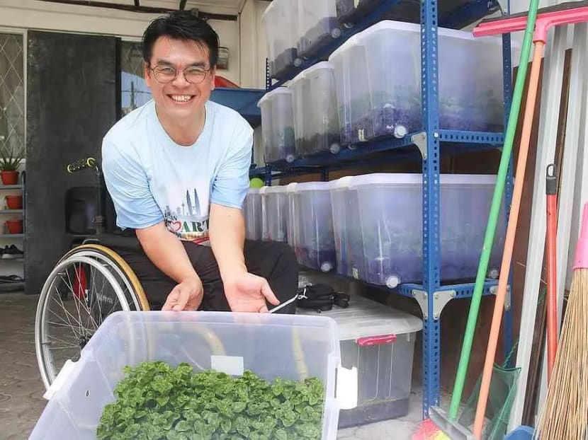 Mr Billy Tang’s organic terrarium boxes can last for up to three months before being replenished.