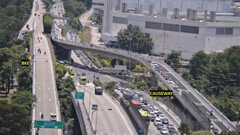 lta traffic checkpoint 29 mar