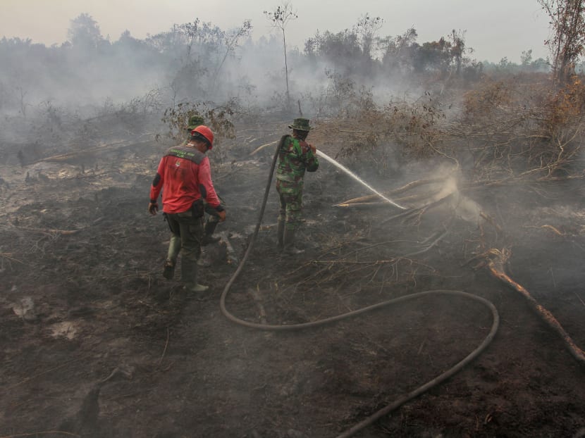 Fire fighters try to extinguish a fire at a peatland in Kampar, Riau province, Indonesia, on Sept 24, 2019.