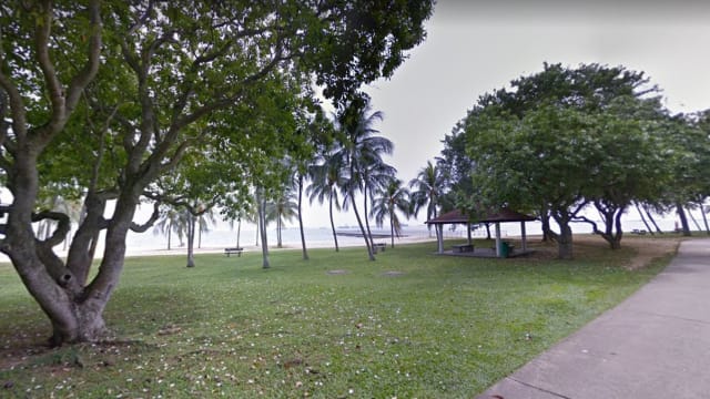 东海岸公园惊现女浮尸 警方：死者为49岁妇女