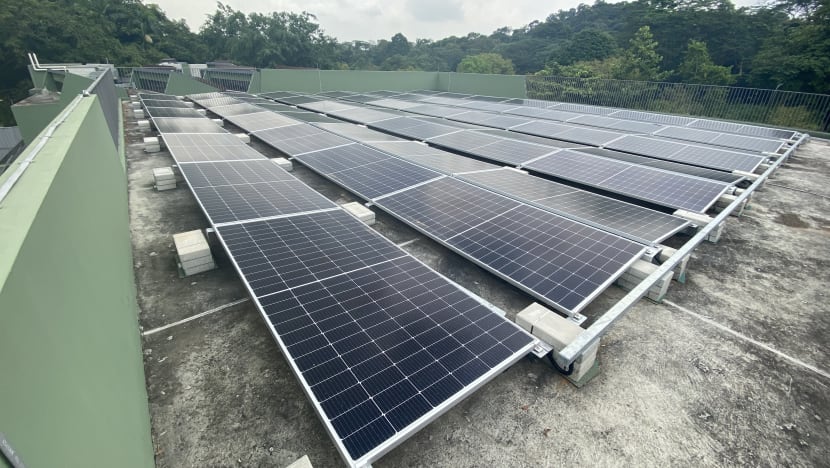 Mandai set to become first carbon-neutral precinct in Singapore by 2024 Mandai set to become first carbon-neutral precinct in Singapore by 2024