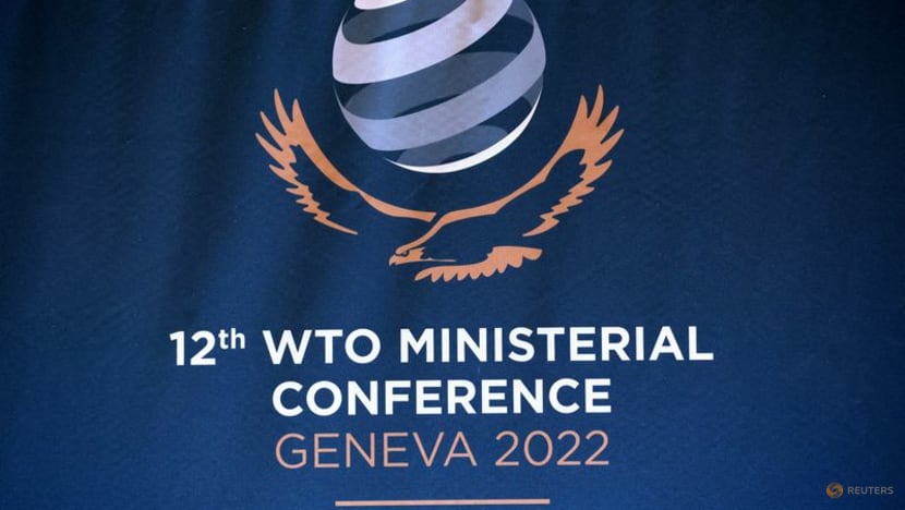 WTO provisionally agrees to extend e-commerce tariff moratorium - sources WTO provisionally agrees to extend e-commerce tariff moratorium - sources