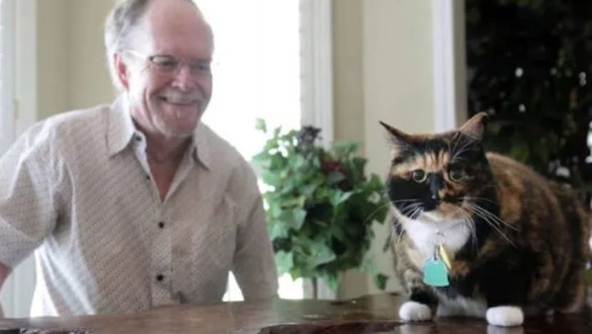 Kucing 'hero' patahkan percubaan merompak di AS Kucing 'hero' patahkan percubaan merompak di AS