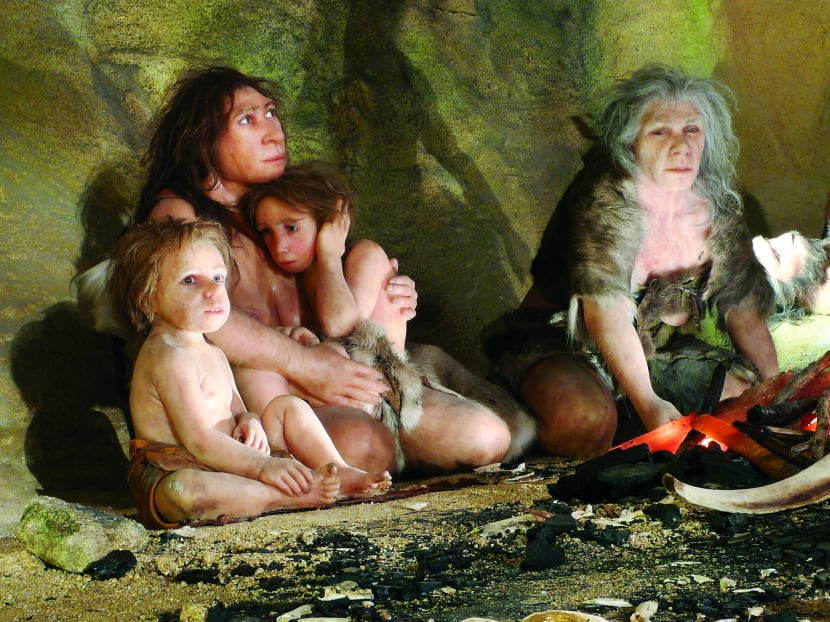 An exhibit at the Neanderthal Museum in Croatia showing the life of a Neanderthal family in a cave.  An international research team led by scientists from the Max Planck Institute for Evolutionary Anthropology in Leipzig in 2006 set out to read the Neanderthal genome with precision. Photo: Reuters