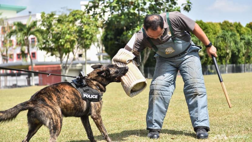 K9 unit saf sale