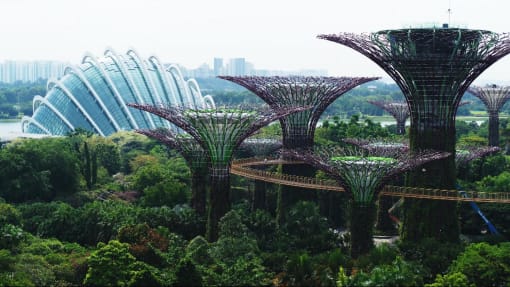 Inside Our Gardens By The Bay - S1: Inside Our Gardens By The Bay 
