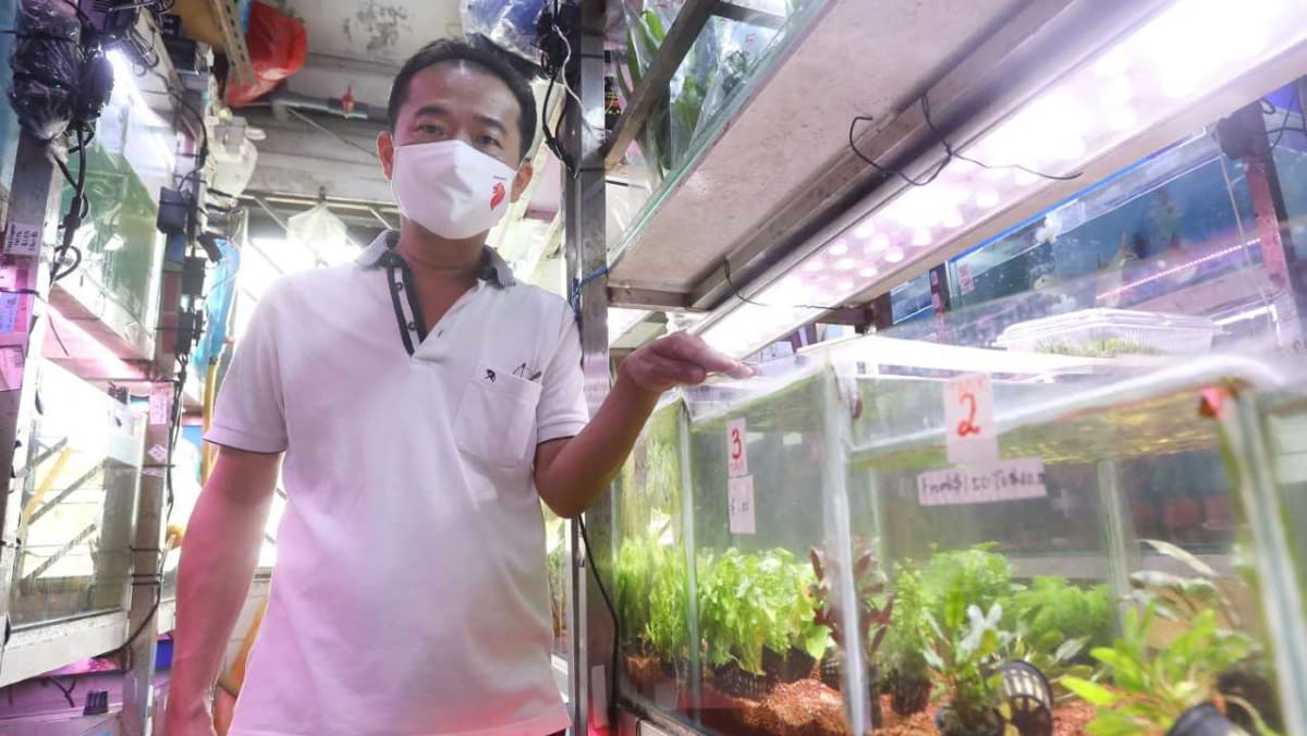 Nanyang aquarium sales