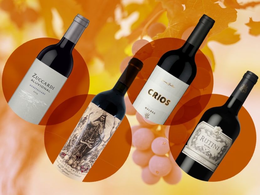 What you need to know about Argentinian Malbec