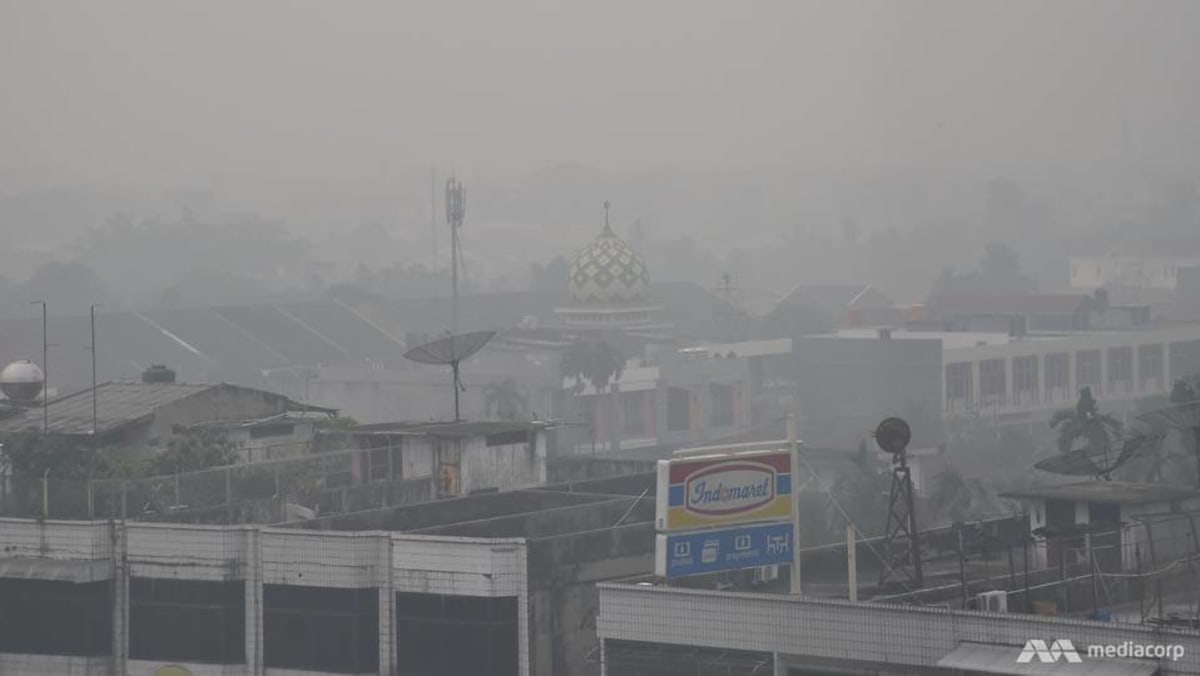 Indonesia preparing ‘very well’ for haze amid possible return of El Nino, says minister Indonesia preparing ‘very well’ for haze amid possible return of El Nino, says minister