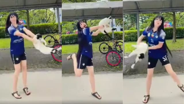 女子手抱流浪猫拍摄短视频 大力摇晃转圈被指虐猫遭讨伐