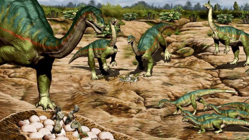 Patagonian fossils show Jurassic dinosaur had the herd mentality Patagonian fossils show Jurassic dinosaur had the herd mentality