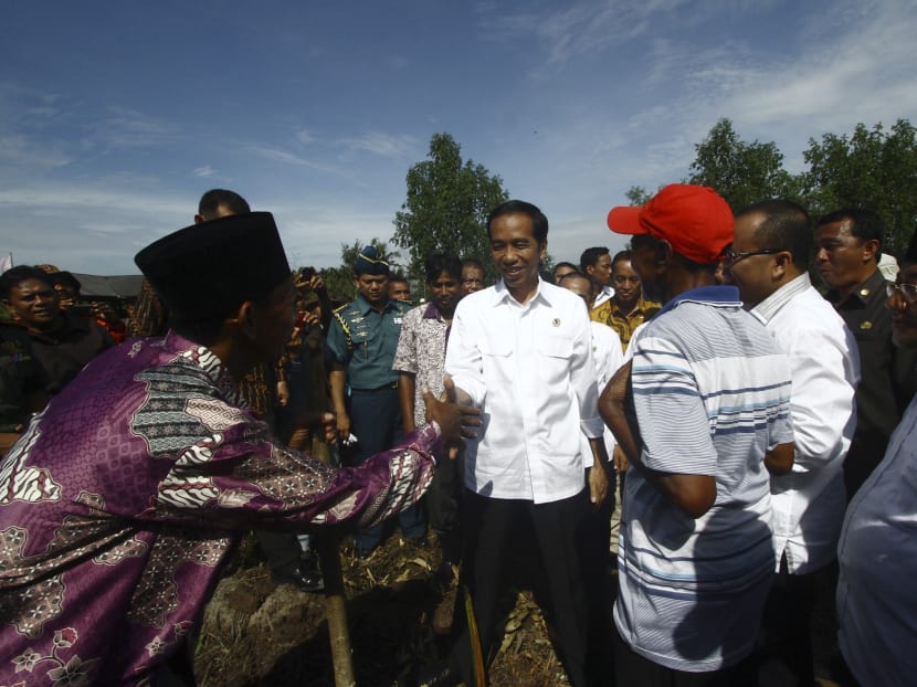 Indonesian President Joko Widodo (C) greets sago farmers during his visit to Sungai Tohor in Meranti Island, Riau Province, Sumatra. Photo: Reuters