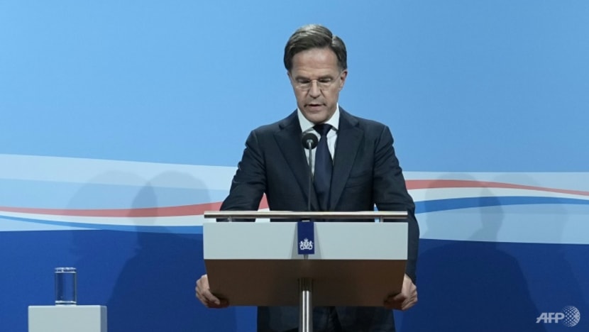 Dutch government collapses over bitter migration row