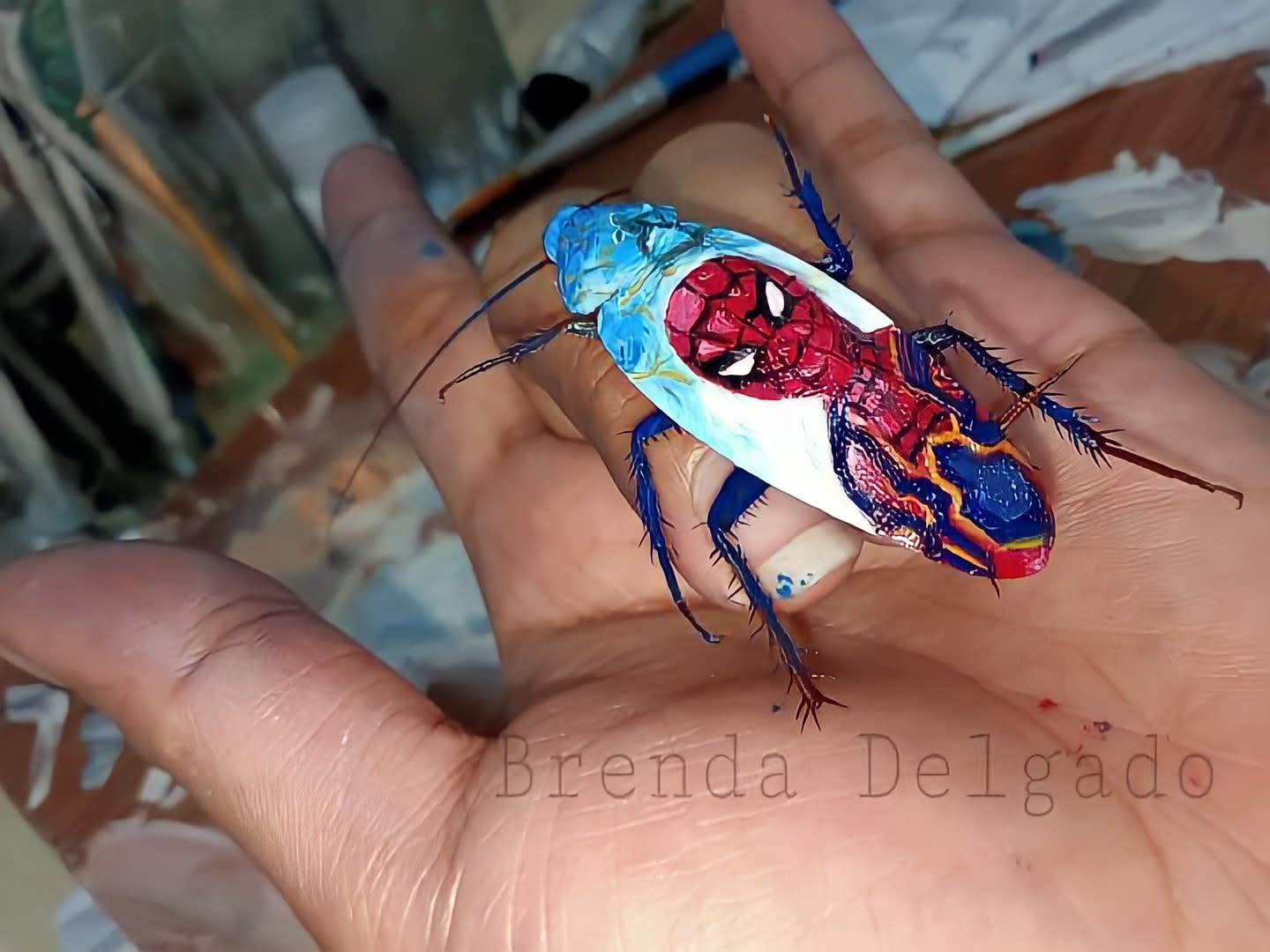 Ms Delgado was said to have gotten the idea to paint on cockroaches after she found the dead insects at her workplace Ms Delgado was said to have gotten the idea to paint on cockroaches after she found the dead insects at her workplace