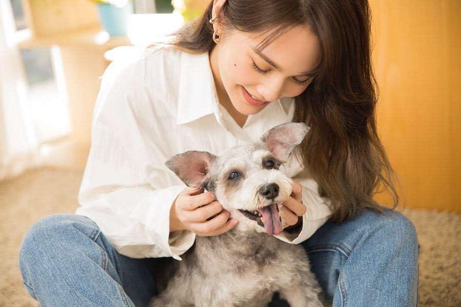 Rainie Yang Dedicates Latest Song To Her 15-Year-Old Dog Yumi