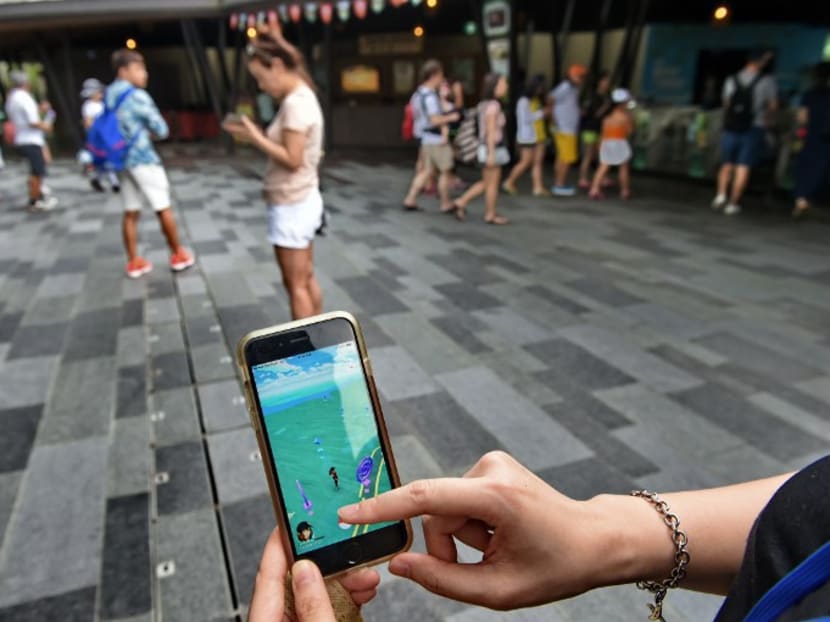 People play Pokemon Go outside Singapore Zoo in Singapore on August 7, 2016.  Photo: AFP