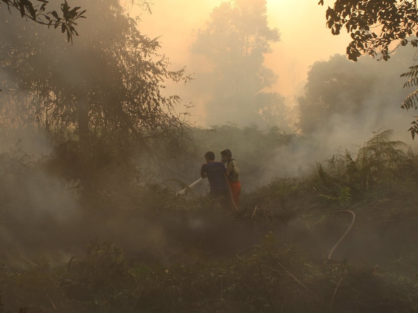 Firefighters spray water on the burning land in Marpoyan Damai sub district, in the outskirts of Pekanbaru, in Indonesia's Riau province June 20, 2013. Photo: Reuters