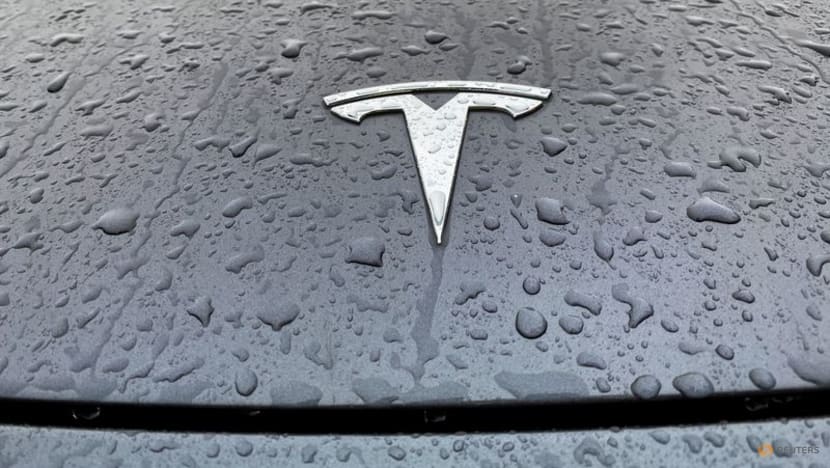 Tesla to boost spending as plant expansions gather pace Tesla to boost spending as plant expansions gather pace