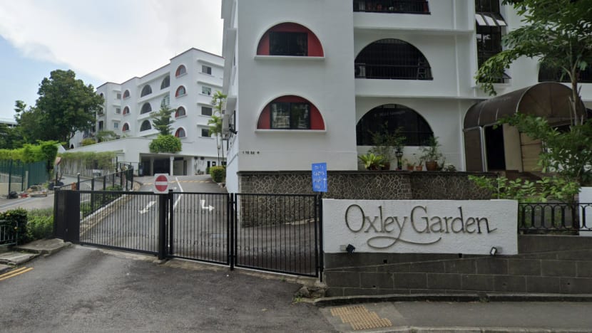 Oxley Garden relaunched for en bloc sale at reserve price of S$200 million