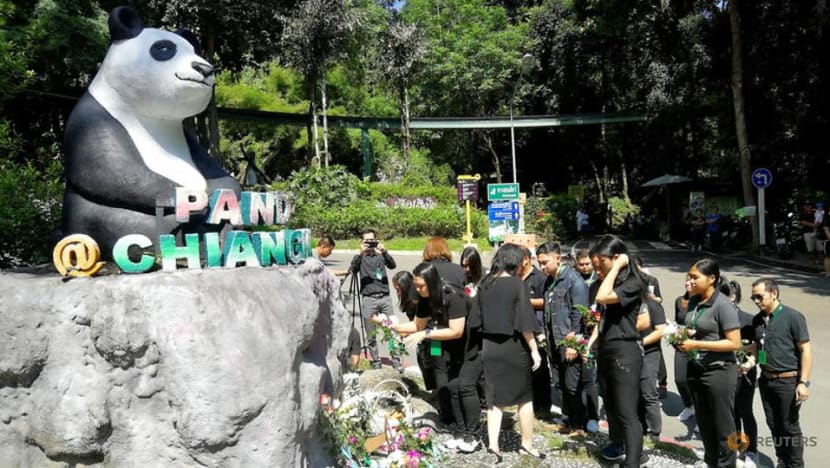 Thai zoo solves mystery of celebrity panda's death