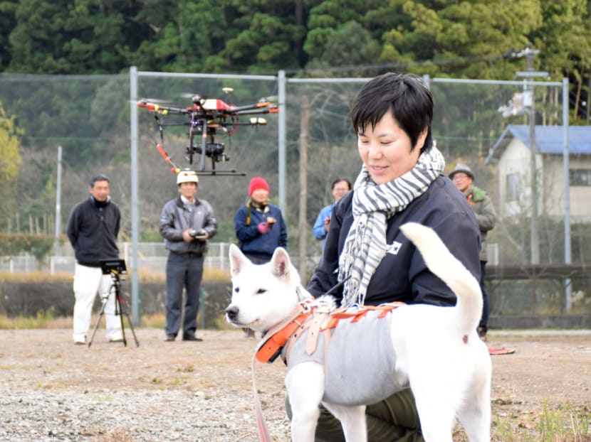 Naka in Tokushima prefecture conducted an experiment in which a hunting dog was tracked and located on the side of a mountain using a drone. Such technology will make it easier for elderly hunters to find their prey. Photo: Kyodo