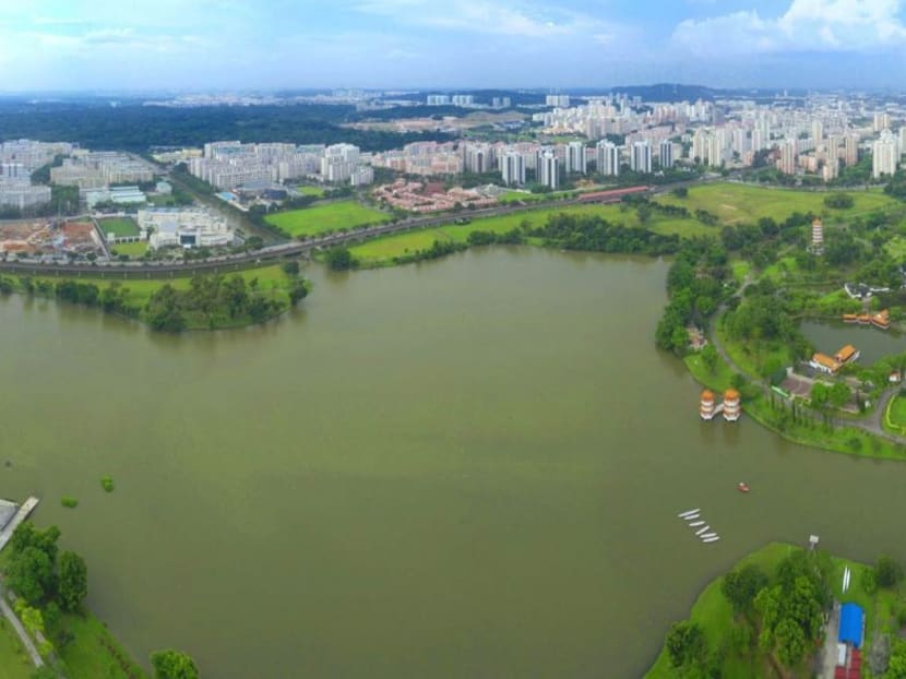 Steering committee to oversee Jurong Lake District