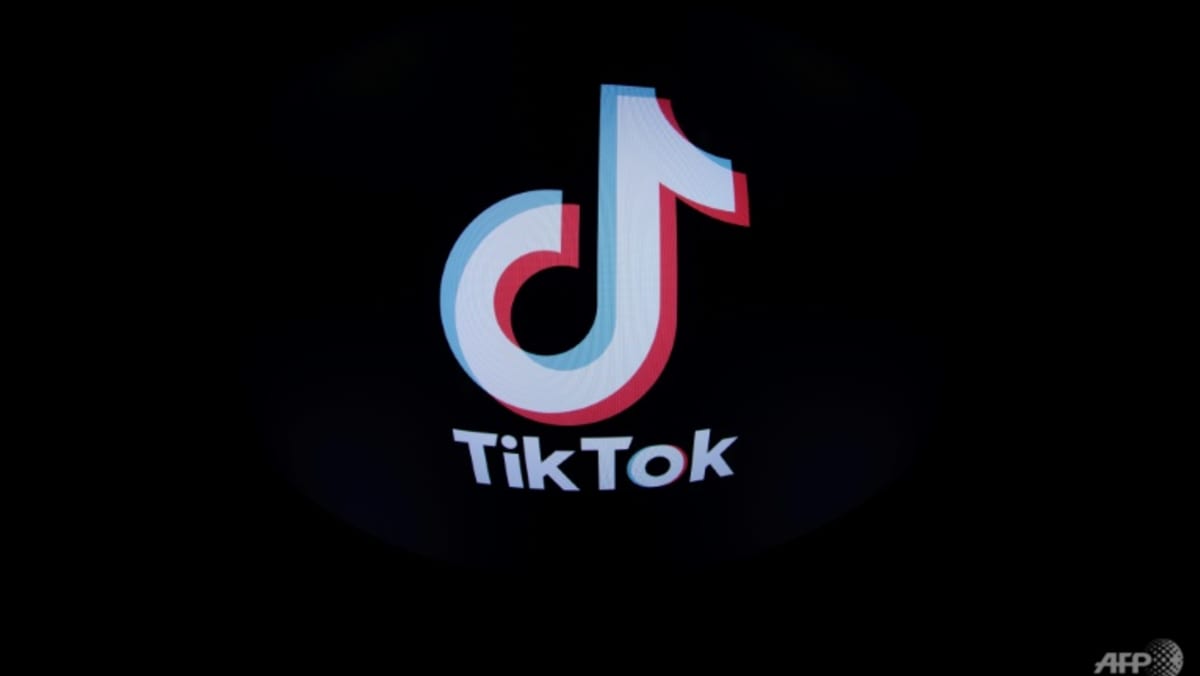 Belgiske myndigheter forbyr TikTok på offisielle telefoner