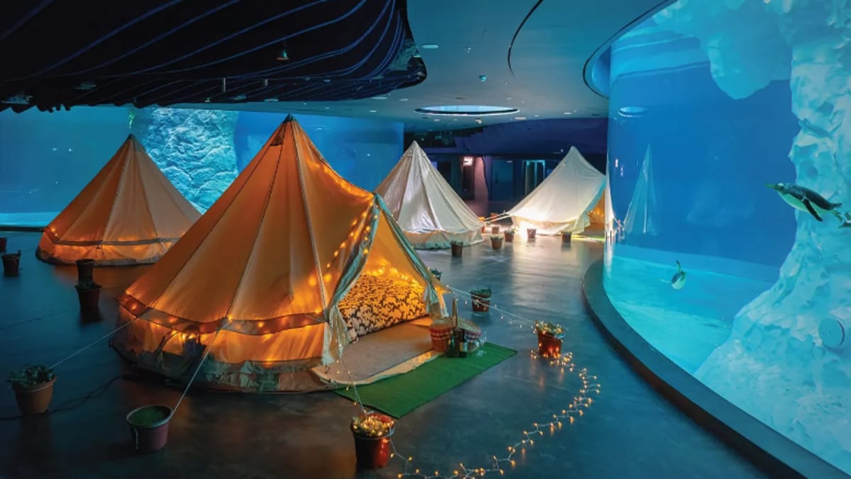 Discounted tickets, special activities to mark Bird Paradise’s grand opening