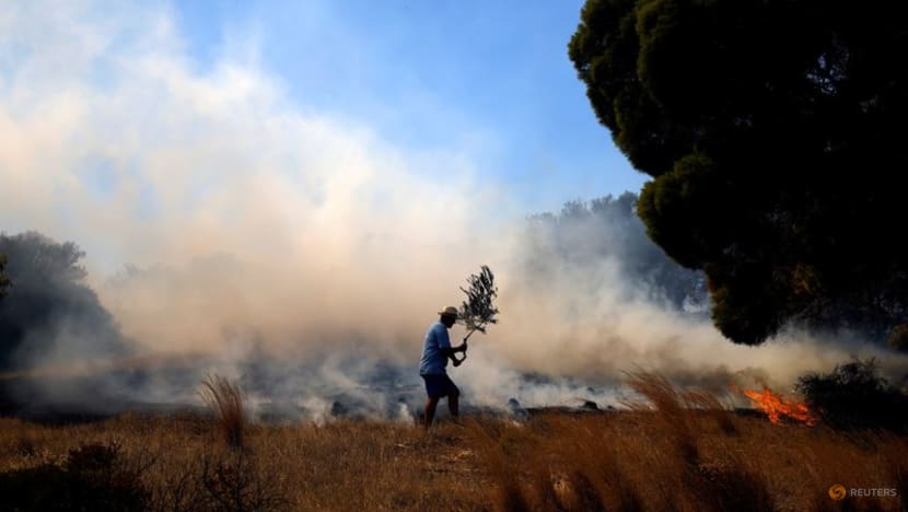 Greek firefighters battle growing forest blaze near Athens Greek firefighters battle growing forest blaze near Athens