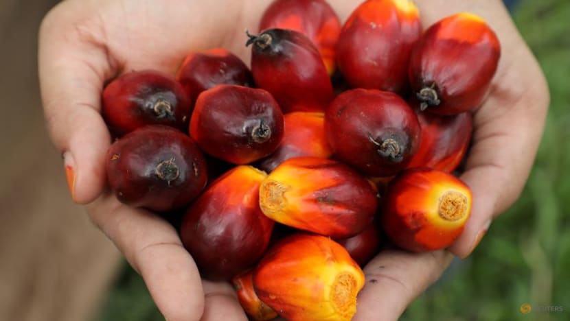Malaysia's Sime Darby Plantation no longer producing goods with forced labour: US customs Malaysia's Sime Darby Plantation no longer producing goods with forced labour: US customs
