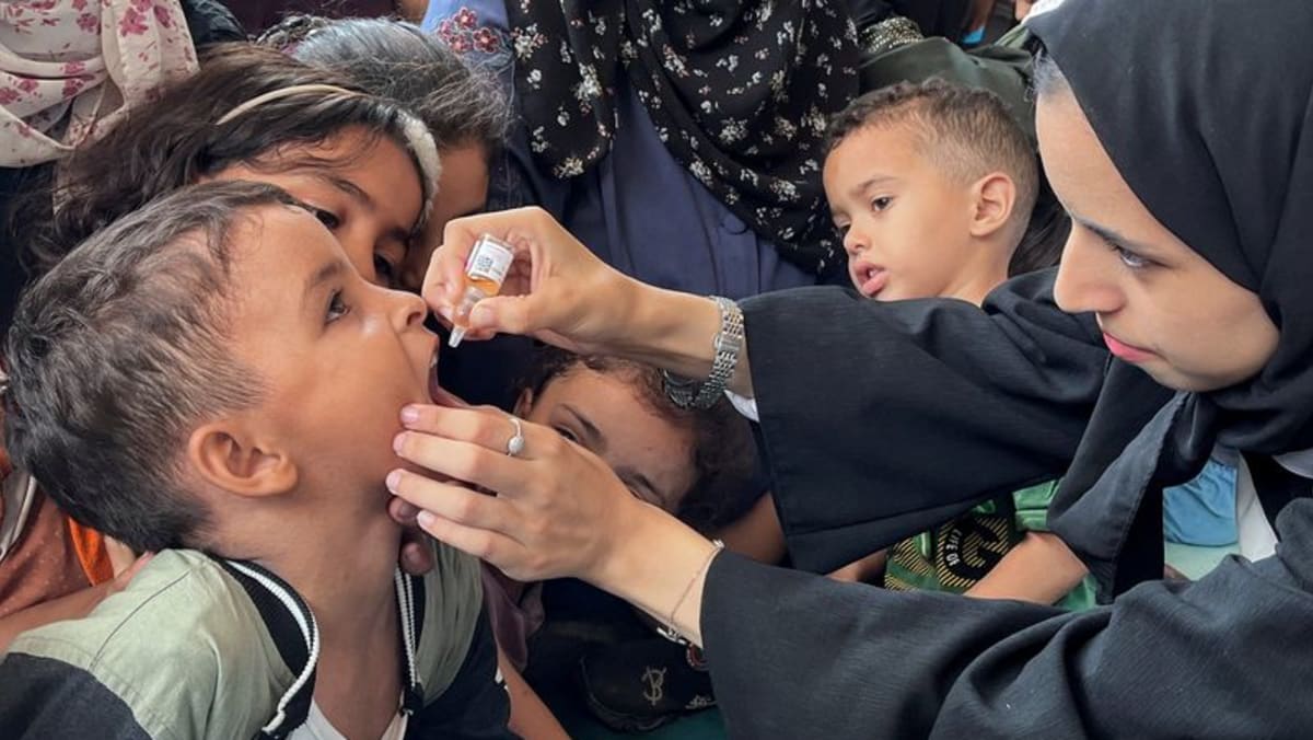 UN begins polio vaccination in Gaza, as fighting rages UN begins polio vaccination in Gaza, as fighting rages