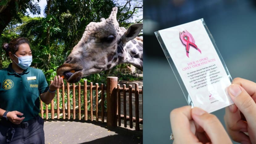 Spread the cheer: 7 places to volunteer at this festive season Spread the cheer: 7 places to volunteer at this festive season