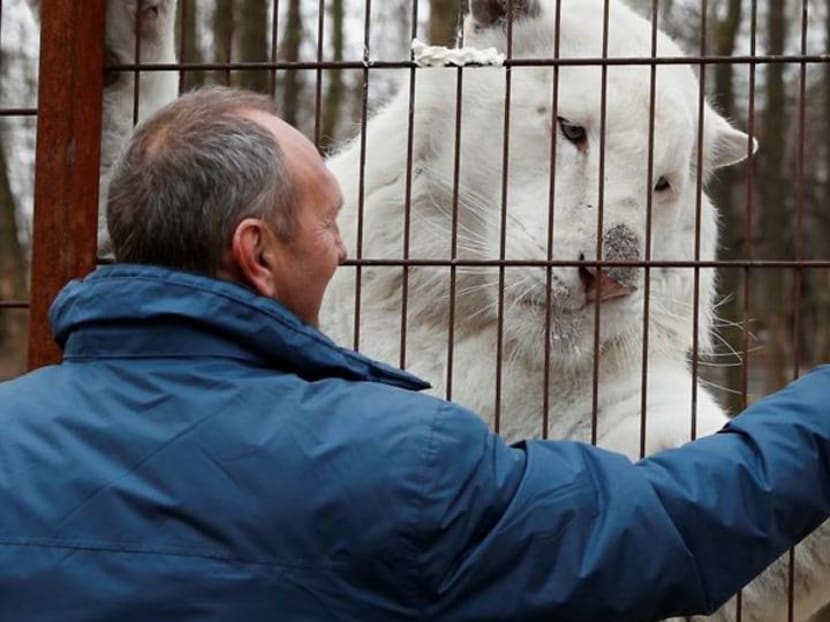 Reeling from pandemic, Hungarian zookeeper puts price tag on his life's work Reeling from pandemic, Hungarian zookeeper puts price tag on his life's work