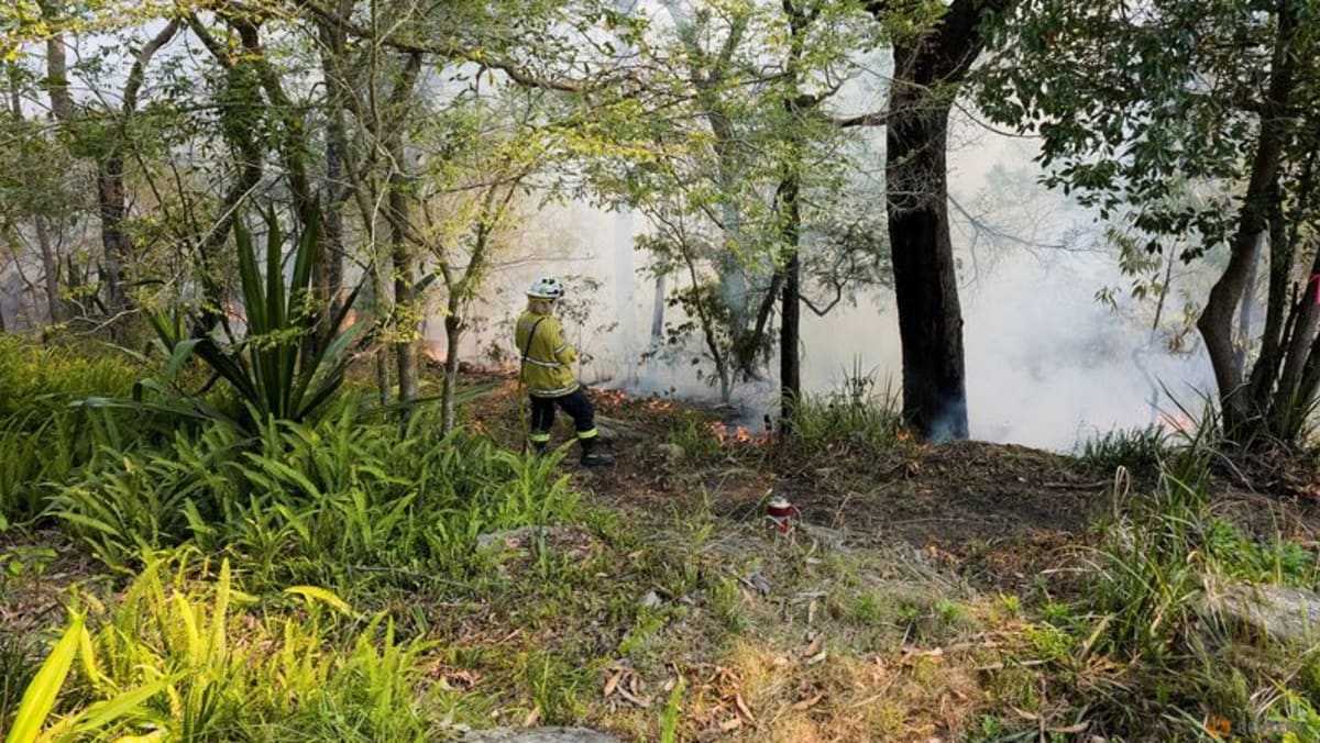 Australia swelters through ‘scorching’ heat lifting bushfire risk Australia swelters through ‘scorching’ heat lifting bushfire risk