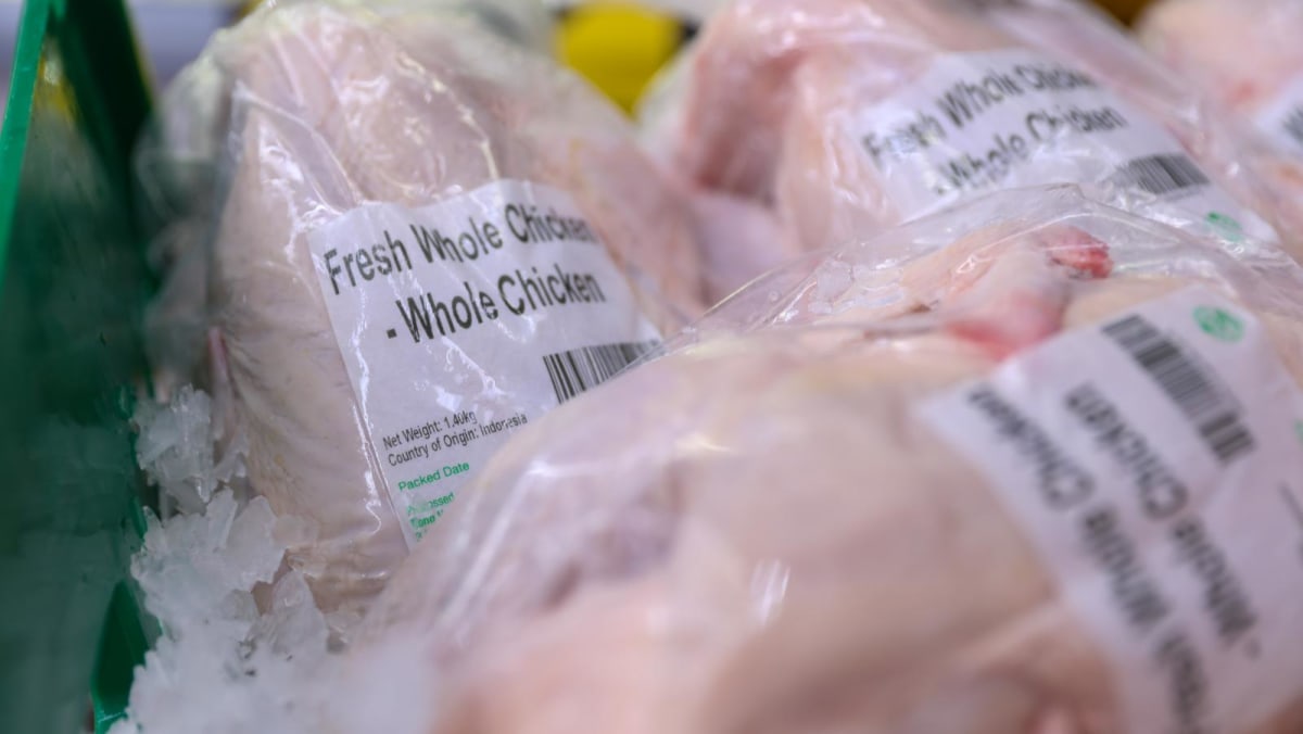 Singapura menyetujui impor ayam hidup dari peternakan Indonesia;  Pengiriman pertama tiba