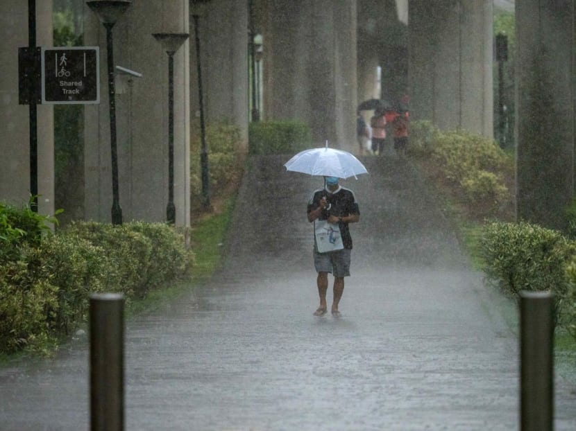 Compared to the first fortnight of the month, more thundery showers are expected in the second half of August.