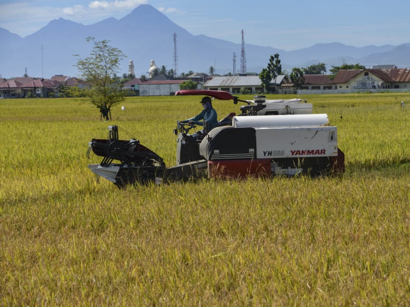 This photo taken on Sept 22, 2020 shows a farmer operating a machine in a paddy field in Lambaro, Indonesia's Aceh province.