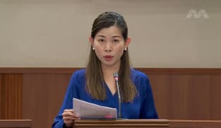 Ng Ling Ling on Constitution and Penal Code Amendment Bills relating to Section 377A