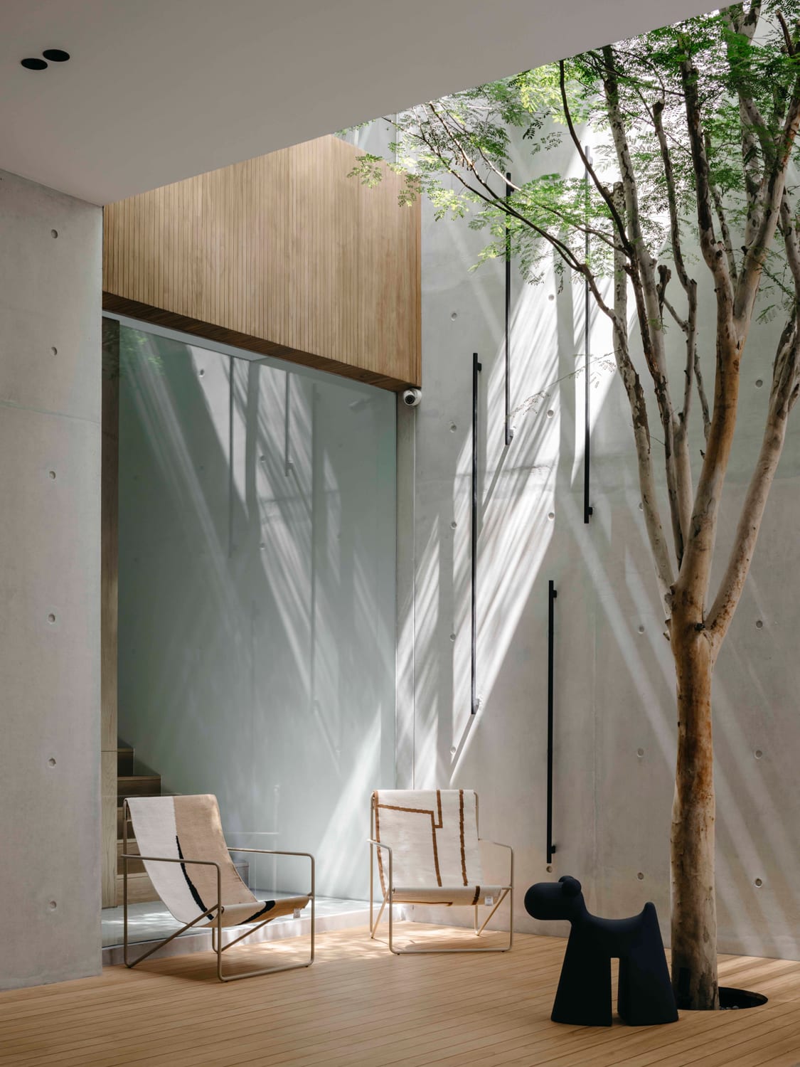 Modern Interior Design for Luxury Homes - BRANA Designs