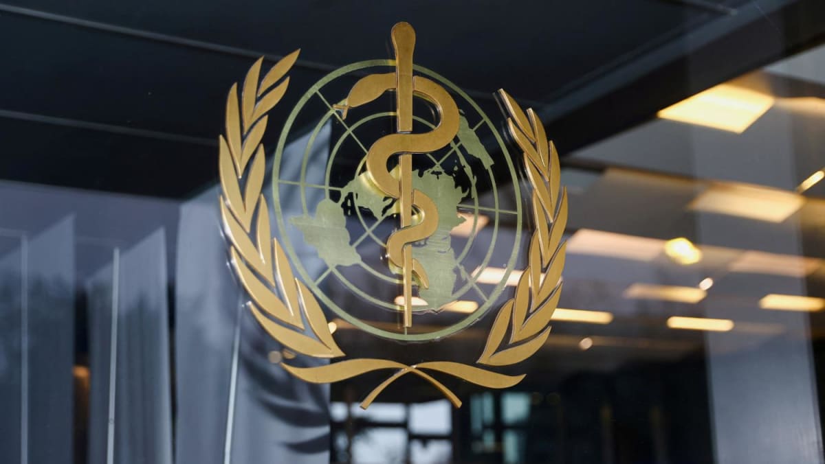 Taiwan’s efforts to join World Health Organization assembly fail