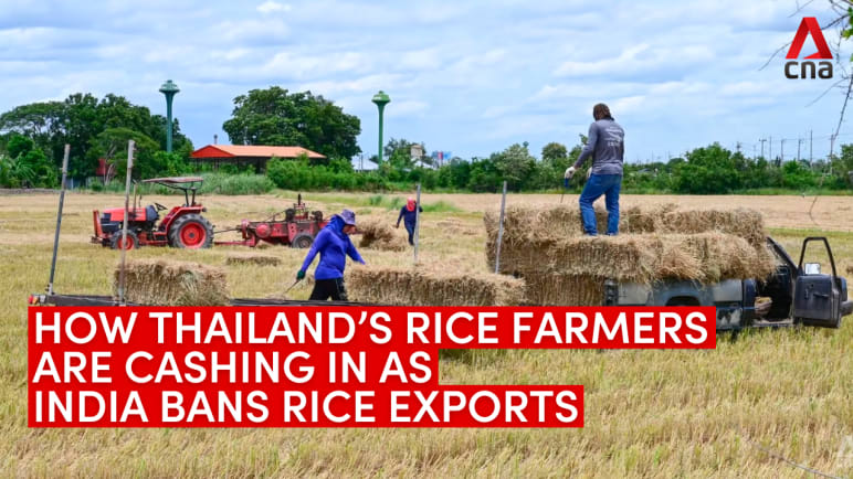 Thailand's rice farmers reap profits amid global price spikes and shortages | Video