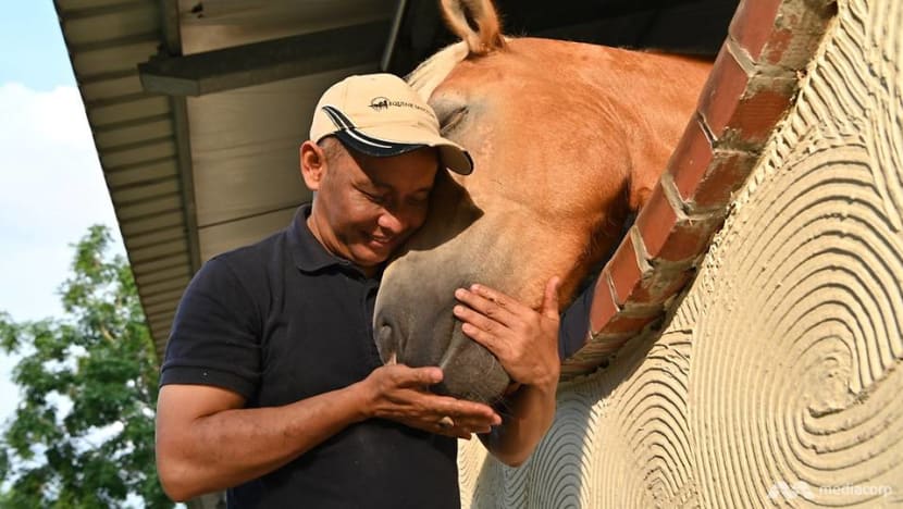 They used to race for money. Now, man and horse help heal the human spirit They used to race for money. Now, man and horse help heal the human spirit