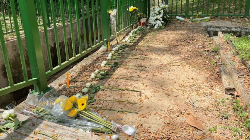 Deaths of brothers in Upper Bukit Timah trigger outpouring of grief and sympathy Deaths of brothers in Upper Bukit Timah trigger outpouring of grief and sympathy